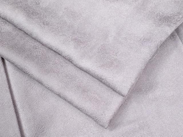 平和屋着物●江戸小紋　鮫小紋柄　舞花地紋　正絹　逸品　CAAU2698yc