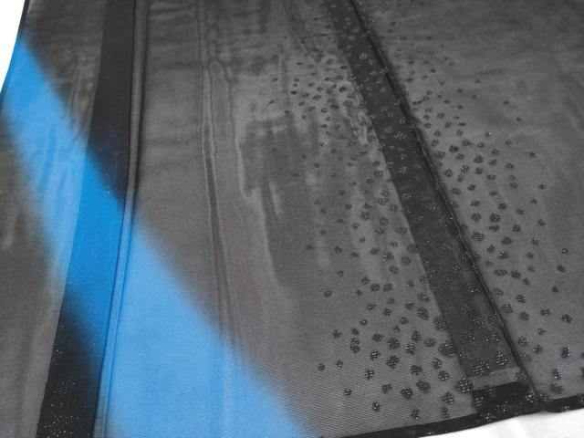 平和屋本店■極上　夏物　男性　訪問着　紗　霞文　黒地　銀通し地　逸品　CYAA2136s5