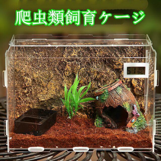 楽天市場】爬虫類 ケースバイケース 90の通販 楽天市場】爬虫類 ケースバイケース 90の通販