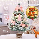 マラソンP5倍 クリスマスツリー ミニ 45-60cm DIY可能 電池式 LEDイルミネーションライト 人工 クリスマスつりー 小さめ 雪化粧 クリスマス デスクライト インテリア プレゼント 雰囲気 デコレーション おしゃれ 高級 ミニクリスマスツリー