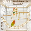鳥のおもちゃ【8点セット】 バードトイ 鳥用玩具 オウムのおもちゃ 噛むおもちゃ 鳥かごアクセサリー おもちゃ 鳥グッズ 鳥用品 ペット用品 鳥用 止まり木 飾...