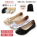 【LINE登録300円OFF】 携帯シューズ 携