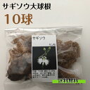 サギソウ 大 球根 鷺草球根 開花予定球 10球 青葉種