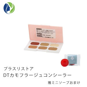 【ポスト投函】【雅ミニソープ付き】プラスリストア DT カモフラージュ コンシーラー 2.7g【ポイント10倍】【内出血 隠す カバー ファンデーション】