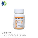 【送料無料】ワカサプリ コエンザイムQ10 120粒(約2ヶ月分)【サプリメント】