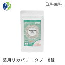 【ポスト投函】薬用　リカバリータブ　8錠　【入浴剤、医薬部外品入浴剤】　重炭酸浴/足湯/炭酸/リンゴ酸/Recovery Tab/重炭酸ナノ/炭..