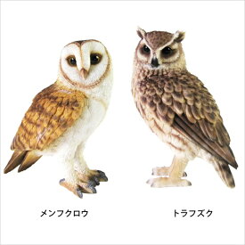 フクロウオウル貯金箱おしゃれペットバンクOwlPETBANKリアル置物