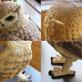 フクロウオウル貯金箱おしゃれペットバンクOwlPETBANKリアル置物