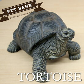 【2/25AM10時まで全品送料無料】PETBANKリクガメ貯金箱ペットバングTORTOISE