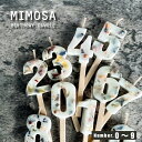 【300円クーポン-8/17まで】キャンドル バースデー / MIMOSA BIRTHDAY CANDLE 全10種 / ドライフラワー 数字 年齢 誕生日 記念日 特別な日 日本製 無香料 W20-30 x H110mm ボタニカル 映え かわいい 淡い色 おしゃれ ろうそく 誕生日のろうそく ネコポス