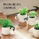 【お買い物マラソンクーポン】栽培キット ハーブ / モノクロアニマル 全4種 / 聖新陶芸 手のひらサイズ 陶器製 パンダ シマウマ シロクマ ペンギン アップ...