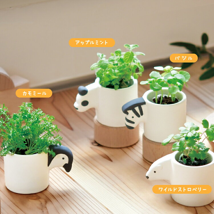 栽培キット ハーブ / モノクロアニマル 全4種 / 聖新陶芸 手のひらサイズ 陶器製 ...