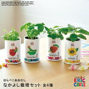 【お買い物マラソンクーポン】栽培キット はらぺこあおむし【 なかよし栽培セット 】 全4種 [ 栽培セット 家庭菜園 ハーブ アップルミント バジル ワイルドス...