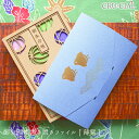 【お買い物マラソンクーポン】ファイル / 御朱印書き置きファイル 薄紫 / 180×120×3mm 日本製 / 神社 寺 箔押し 紙製 ファイル 御朱印 持ち運び 千鳥 パワースポット お寺巡り 参拝 おすすめ クルーシャル cru-cial 和柄 21073HFU