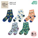 yZbgzMatsuo Miyuki C / ~L \bNX vc 2Zbg S10 / [֑  IׂZbg socks plants ԕ A  I j[N v[g v`Mtg fB[X 