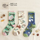 ~L C / \bNX AnimalPlants S3 / Matsuo Miyuki Socks AnimalPlants }cI~L fB[XC t[TCY N[\bNX  Aj} A vc 킢 I h j[N v[g Mtg v`Mtg [