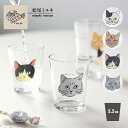【お買い物マラソンクーポン】松尾ミユキ グラス / ミニグラス 5.5oz 全4種 / Matsuo Miyuki Mini glass 5.5oz マツオミユ...