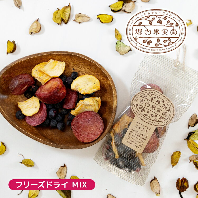 【2/15日10％OFFクーポン】ドライフルーツ 国産 / 堀内果実園 フリーズドライ ミックス / 34g すもも 柿 ブルーベリー 奈良県産 吉野 こだわり 砂糖不使用 ヨーグルト ケーキ シリアル 紅茶 プチギフトのサムネイル