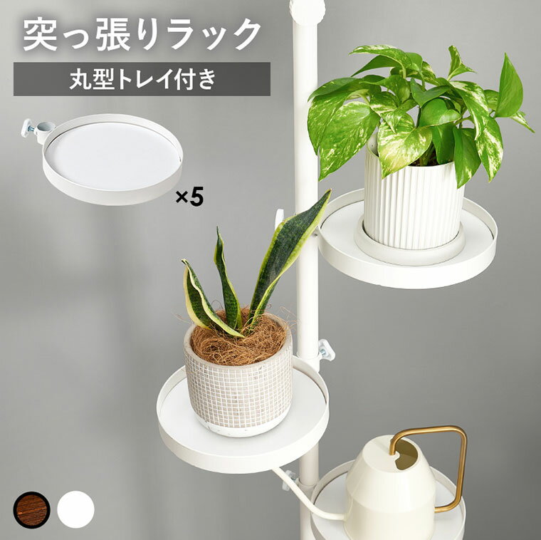 【6点セット】 つっぱり棒 突っ張り 突っ張りラック つっぱり ラック 壁面収納 壁面ラック スリム 突っ張り棒 トレイ 丸型 まとめ セット お得 ホワイト ...