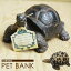 yAj}^̒zoN u  CeAG WG  v[g Mtg G ybgoN a jy̓zy̓z PET BANK TORTOIS  ybgoNiJjy02P03Dec16z