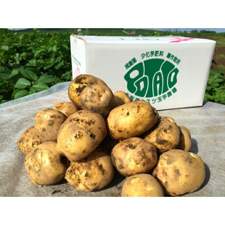 【産地直送】北海道産じゃがいも VIP キタアカリ Mサイズ 5kg ブランド ジャガイモ 玉手農場