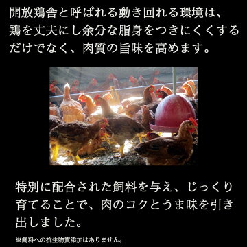 【送料無料】伊達鶏のささみ唐揚げ1キロ200g×5pcセット