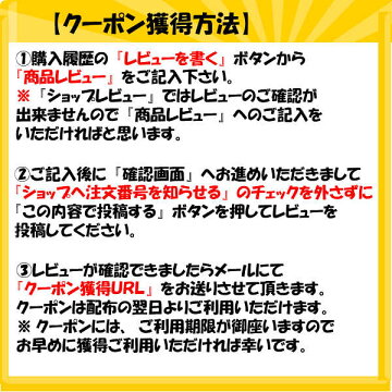 レビュー2