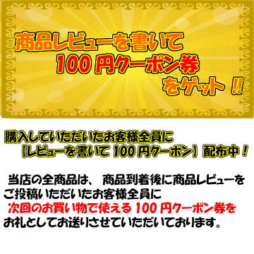 レビュー1