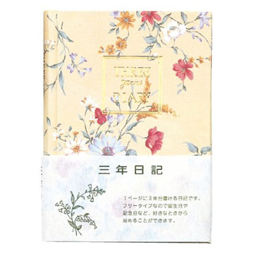 ڥ᡼ԲġD310ԥ 3ǯ B6  ɽʤ