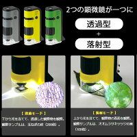 【メール便不可】レイメイ藤井ハンディ顕微鏡DXRXT300-Mグリーン