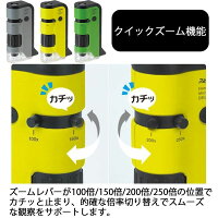【メール便不可】レイメイ藤井ハンディ顕微鏡DXRXT300-Mグリーン