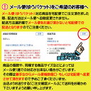 【4/24～エントリー＆3点以上購入で最大P10倍！】【メール便対応可能/6冊まで】五色鶴 お花紙（おはながみ） 100枚入幼稚園 保育園 小学校 運動会 お遊戯会 卒園式 入園式 卒業式 入学式 花 しろ 緑 黒 赤 ピンク 100枚 2