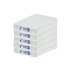 【メール便不可】OAペーパータイプW B4 5冊入