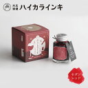 【メール便不可】寺西化学工業 ギター 大正浪漫 ハイカラインキモダンレッド 40ml TRH-40ML-T60レトロ インク 万年筆 つけペン ガラスペン