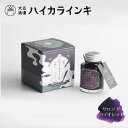 【メール便不可】寺西化学工業 ギター 大正浪漫 ハイカラインキサロン ド バイオレット 40ml TRH-40ML-T63レトロ インク 万年筆 つけペン ガラ...