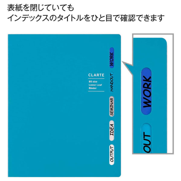 �ڥ᡼�����Բġ�F311-02�ޥ�ޥ� ������ �Х������B5 �֥롼�롼���꡼�� �Ρ��� �ٶ� �Ż�