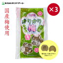【賞味期限間近のため特別価格!】【送料無料】800-5212ランドアート 国産 半割り かりかり梅 種なし 500g 袋入 半粒タイプ 3個パック個包装 梅干し...