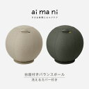 【お取り寄せ】【送料無料】AHC030キングジム aimani アイマニ台座付きバランスボールサンドベージュ ディープグリーン