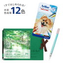 【当店オリジナルセット】【メール便対応】【送料無料】ARTLINE_12SETArtline 水彩色鉛筆 12色 水筆 中 水彩紙 中目 F0 セットアートライ...