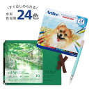 【当店オリジナルセット】【メール便対応】【送料無料】ARTLINE_24SETArtline 水彩色鉛筆 24色 水筆 中 水彩紙 中目 F0 セットアートライ...