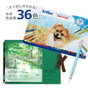 【当店オリジナルセット】【メール便対応】【送料無料】ARTLINE_36SETArtline 水彩色鉛筆 36色 水筆 中 水彩紙 中目 F0 セットアートライ...