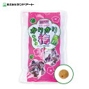 【送料無料】800-5038ランドアート 国産 かりかり梅 梅しば 800g 袋入小包装 個包装 塩分補給 熱中症対策 おやつ おつまみ 梅干し 梅菓子 さっぱ...