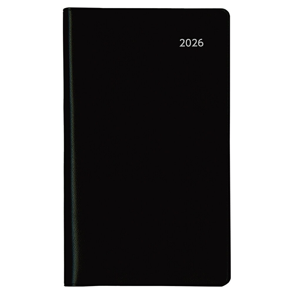 【メール便対応可能】E8308ダイゴー 2026年 1月始まり アポイント Appoint大きな文字シリーズ1ヶ月ホリ..