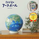 【メール便不可】ほぼ日のアースボールプレゼント/ギフト/お祝い/地球儀/