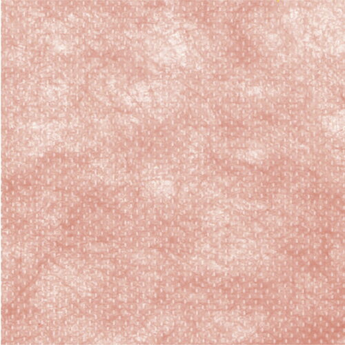 ڥ᡼Բġ49-9003 Կ J ڤ󤻡