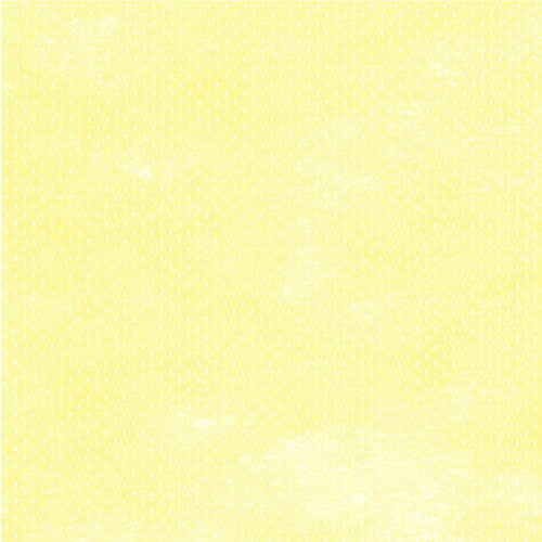 ڥ᡼Բġ49-9006 Կ J ڤ󤻡