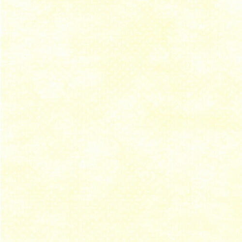 ڥ᡼Բġ49-9007 Կ J ڤ󤻡