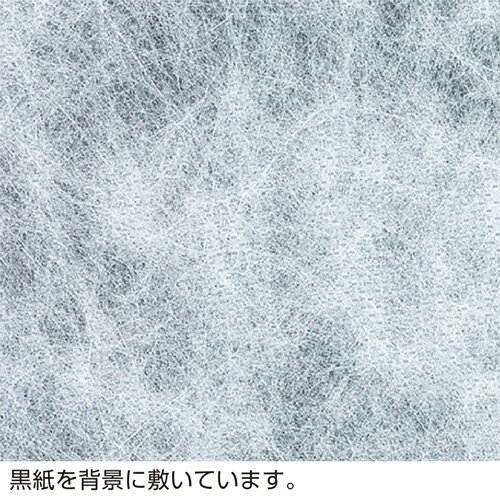 ڥ᡼Բġ49-9008 Կ J ڤ󤻡