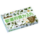 商品名 都道府県かるた 品番 J750288 仕様 特長：47都道府県の形や特徴を、かるたで遊びながら覚えられます。「47都道府県の名称と位置」は新学習指導要領にもあり、社会科の地理学習に役立ちます。都道府県庁所在地・地形・産物などの情報も豊富で、小学生から大人まで、都道府県や日本の地理の理解が深まります。 ●商品構成：絵札48枚、読み札47枚、予備札2枚、カバーシール、日本地図＆白地図 ●商品サイズ：幅185×奥行115×高さ24mm メーカー名 学研ステイフル