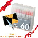 【全品P5倍!15日クーポン】【送料無料】【当店限定】リアルブラッシュオリジナルセット【60色】ギフト プレゼント 景品に